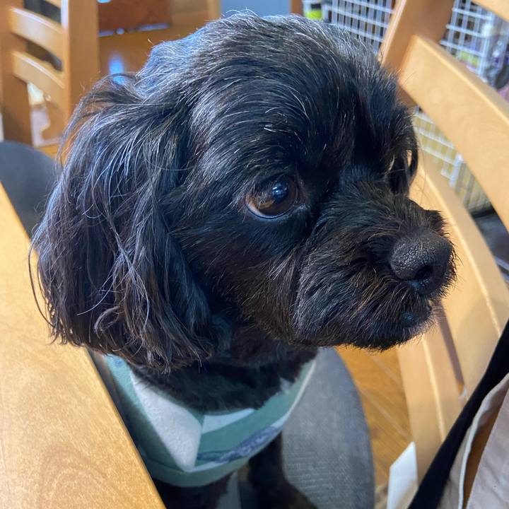 E5d2c2f9 205f 4cfc 8a25 13bcb482c347 1617289239436