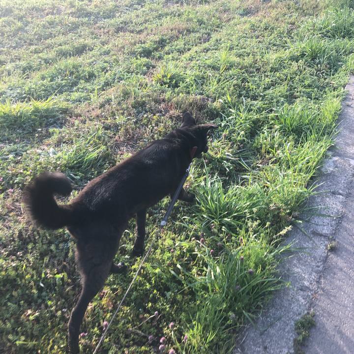 E5d2e610 ca40 472f a37c d5d799a967d2 1584741268338