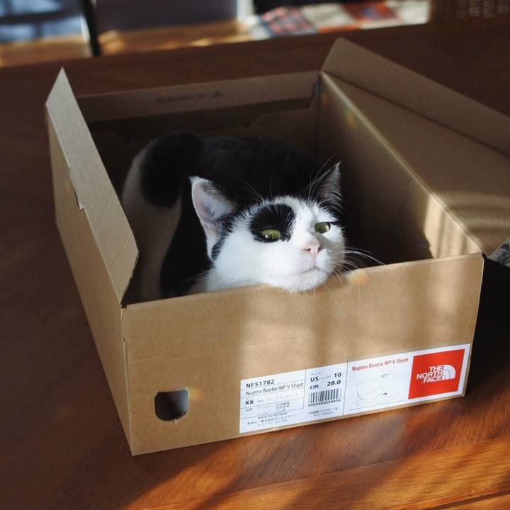 E5d2f047 f098 4d73 99b7 e81beb616dbc 1516769096362