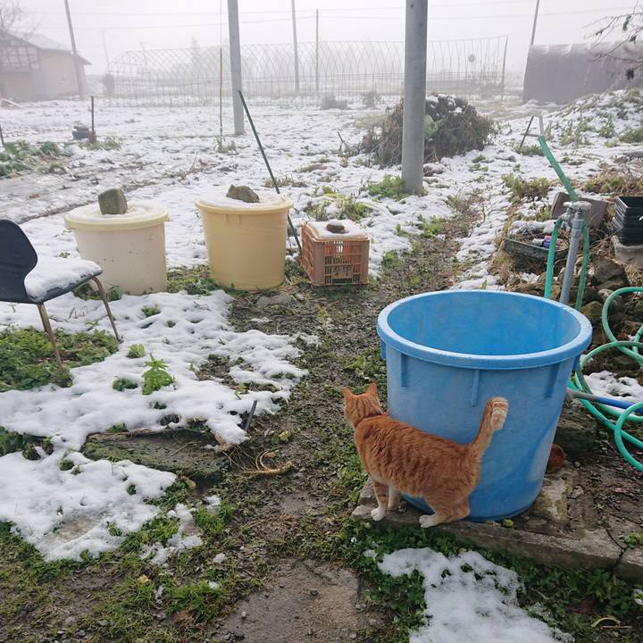 E5d32574 4d36 4ed5 9146 b6bee7a21e7b 1575166154870