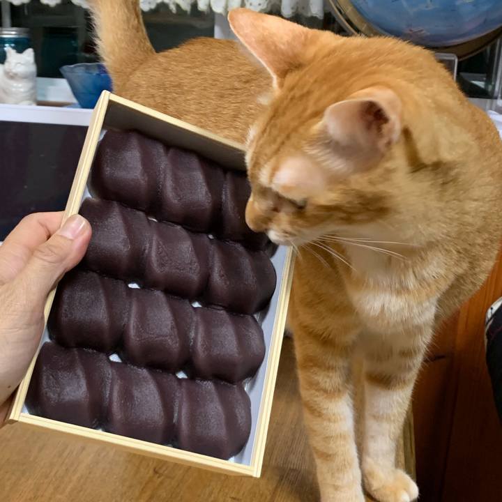 E5d326a6 c753 4782 89bd 93f2493f3f11 1566384252177