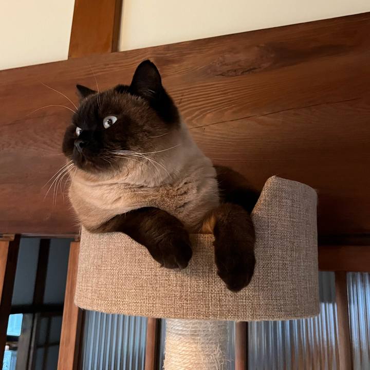 E5d33563 4a4d 4ee7 9f04 7aa3a51e62fc 1646385387860