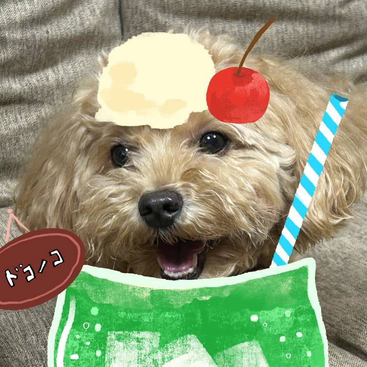 E5d35772 1548 49a0 92e4 331a93e6458c 1755353147423