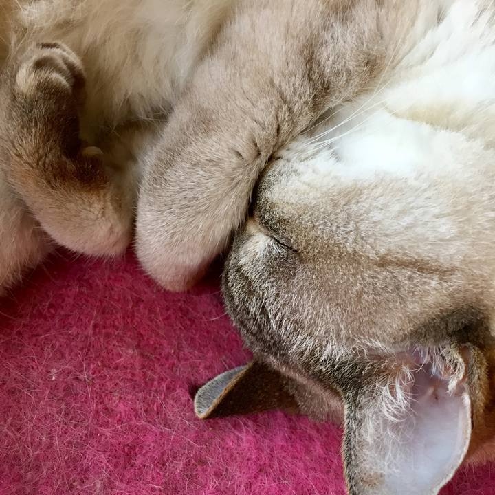 E5d361cf 0b6c 4665 94e4 af107682faea 1563512488185