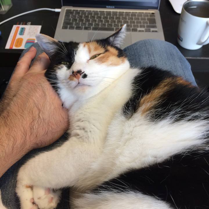 E5d363af 8a30 4c2b 973a 23f8a8095336 1607241206591