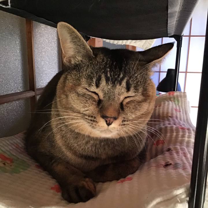 E5d36dae 8124 4479 aa6d 020923e8d9ca 1635579990601