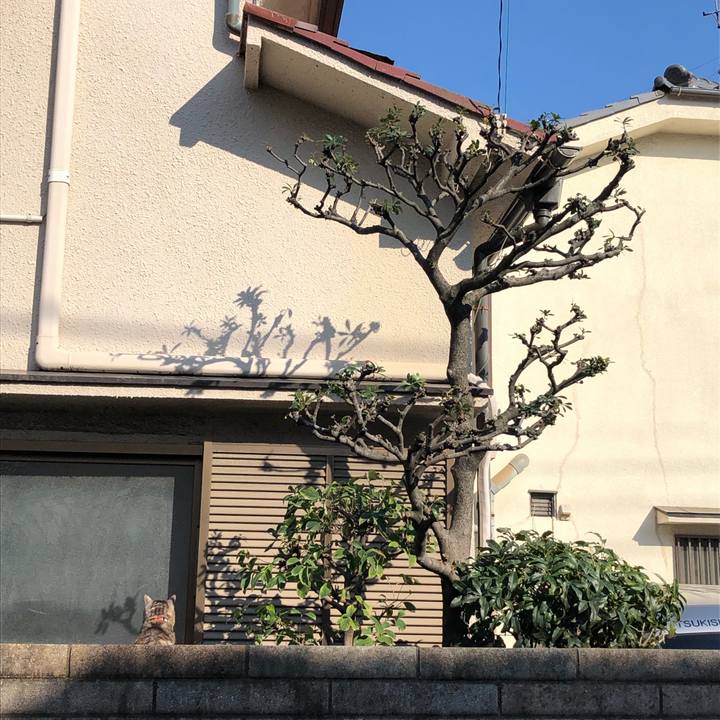 E5d38407 b805 4c8f 9b28 3d7f1f129ec9 1551749028677