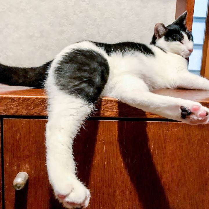 E5d3ca5f 5f69 4733 a771 4a156cd0d7e5 1509781163840