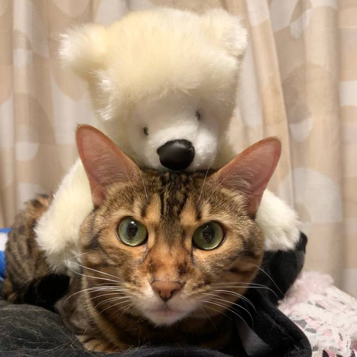 E5d40bfd c242 45f4 b889 71361514b01d 1624836383826