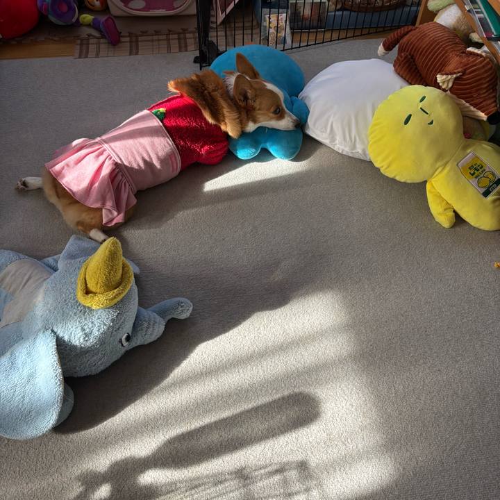 E5d41b7e 81b5 411c 8563 6dad6b54fa27 1766457665434