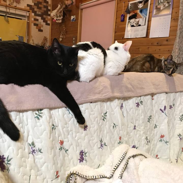 E5d42649 09ef 4f0d b060 ccdef4291c96 1607782880917