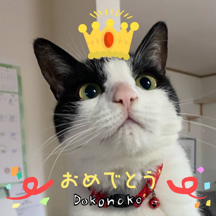 E5d43233 d013 4882 98bf 1671fa883b93 1685938601555