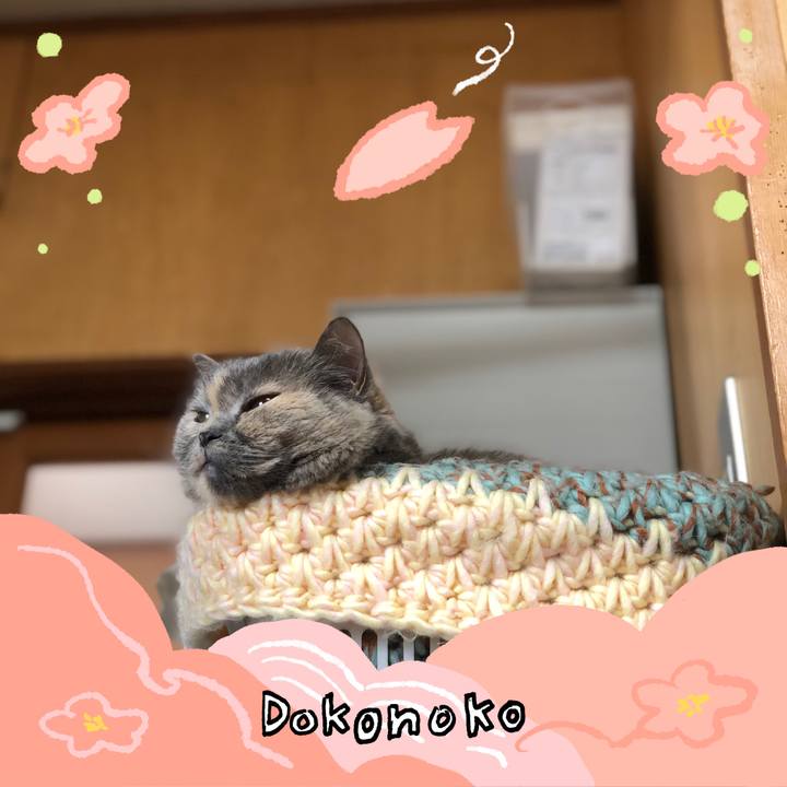 E5d48033 0919 4f7e a025 cd7c3fd2b177 1775324289715