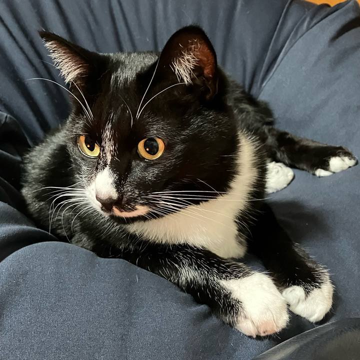 E5d481bf 059a 4d6b b2e8 f7fcd8d3ff73 1701833369294