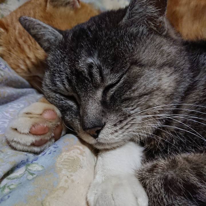 E5d4babd 88d6 4c01 b1aa c89c7eb29baf 1582977546113