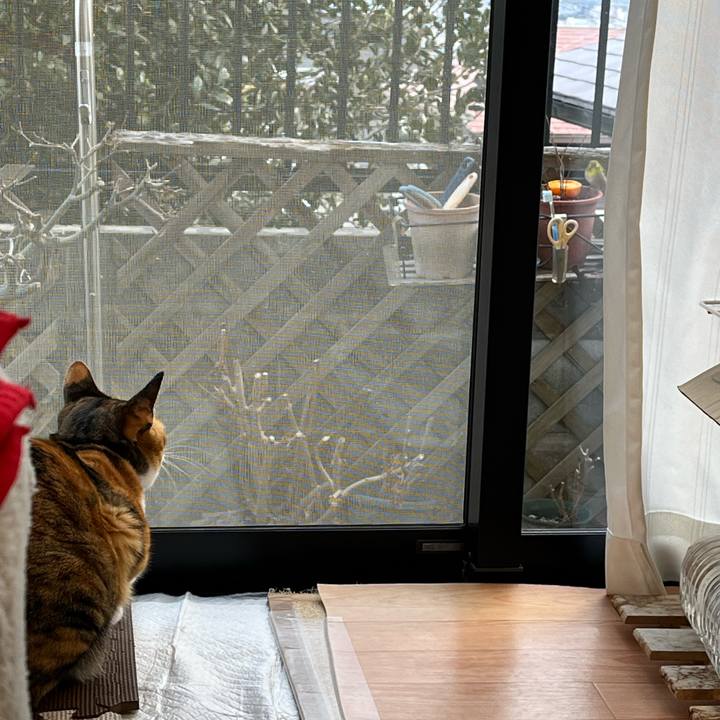 E5d4ef2b 2227 4d5a a4d6 568de39c8c59 1739087337048