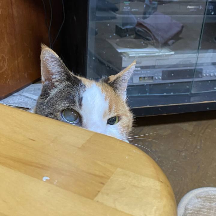 E5d51df9 8bd6 4679 b399 7dfb7ed18b2b 1648740355272