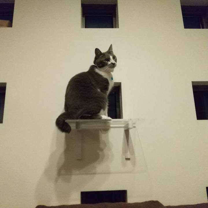 E5d54549 363b 4096 8427 3eb4e437b2f6 1624964337773