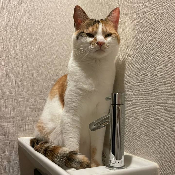 E5d5821a eed4 4cc5 a27a 61ccf7dfc555 1624704861077