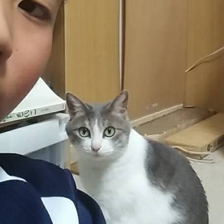 E5d599c0 6100 414d 8c85 9cd16d1ef646 1551776223546