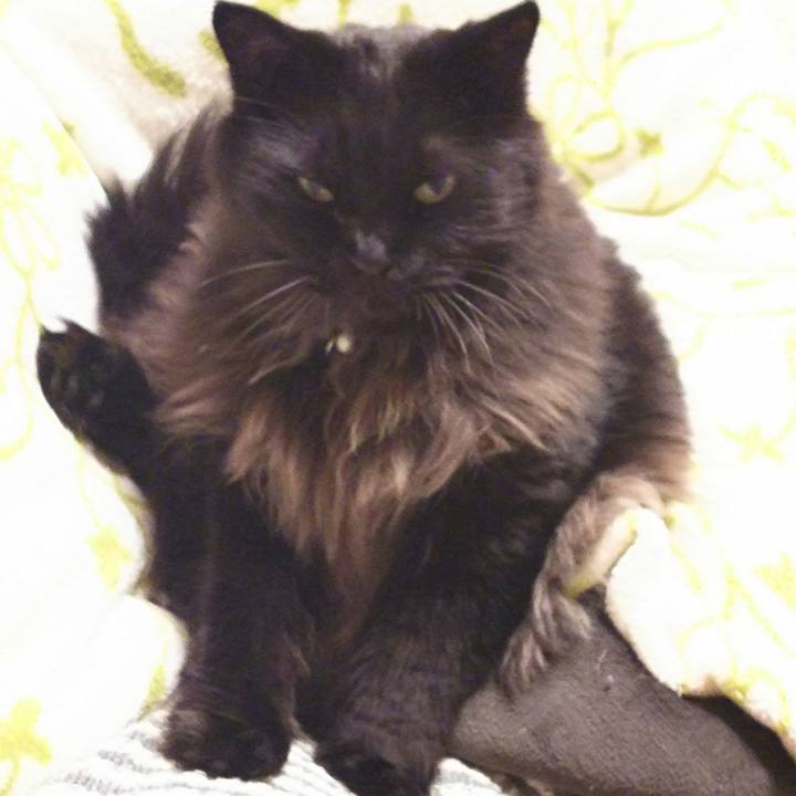 E5d5a061 a3f0 481f 9d0e 3a4a68bcae53 1511855646451