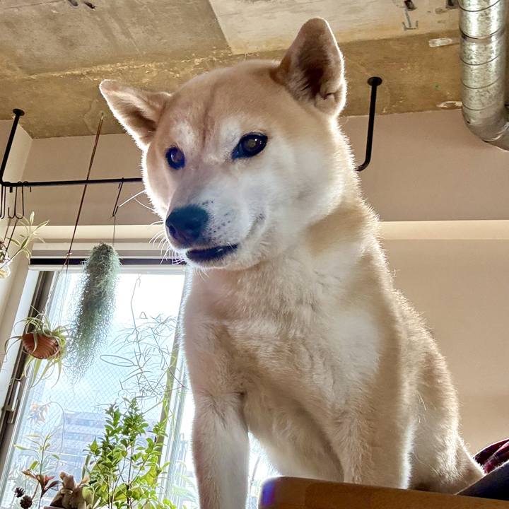 E5d5a223 7277 447e ab00 086e269400b2 1772249114902