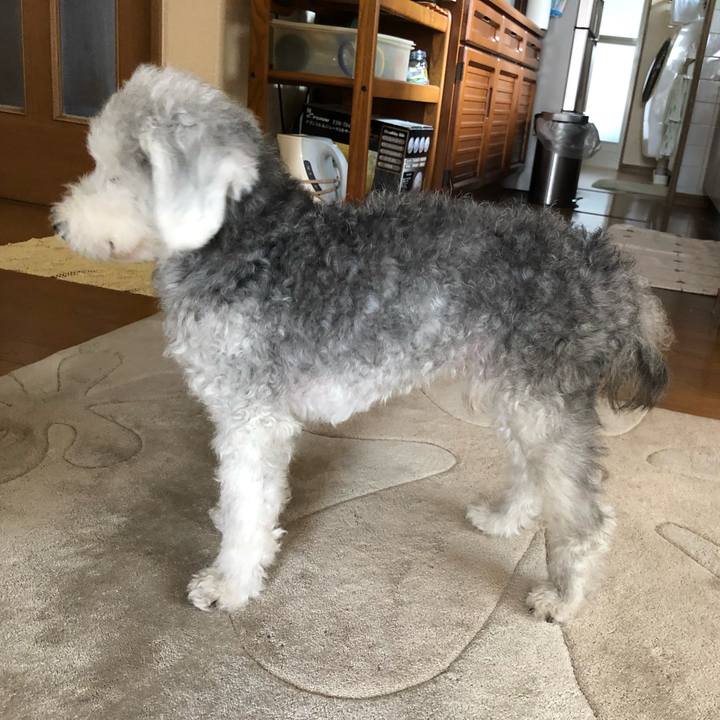 E5d5aa54 da22 4803 beda 03114b6322bf 1663118010348