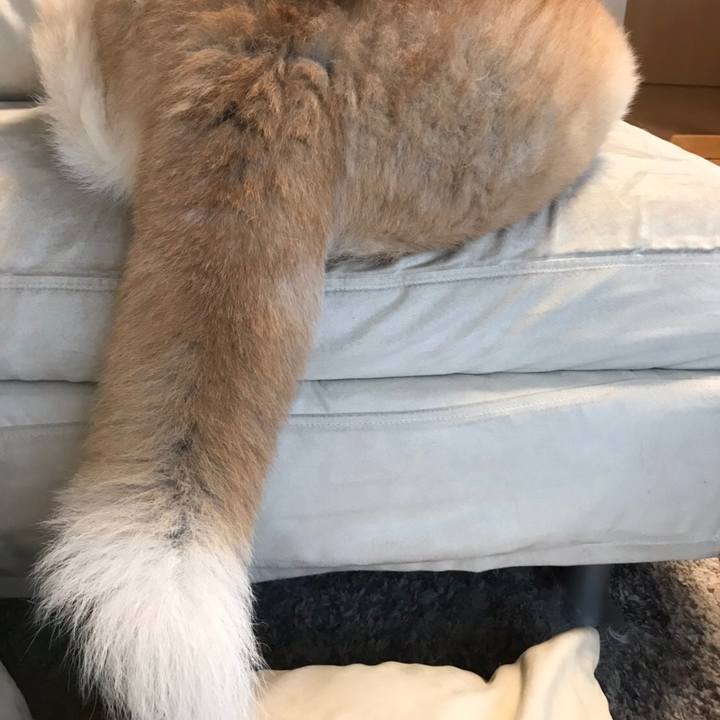 E5d5bec0 bb27 4c5d bff7 f710620ad627 1555157010563