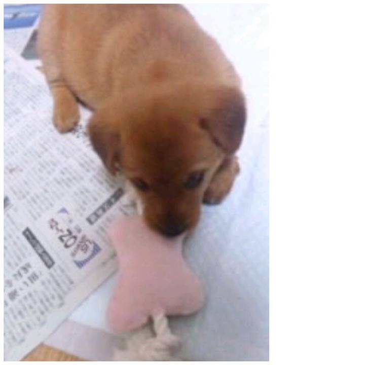 E5d5e97a 6deb 40bf ab79 632211b11626 1552261244027