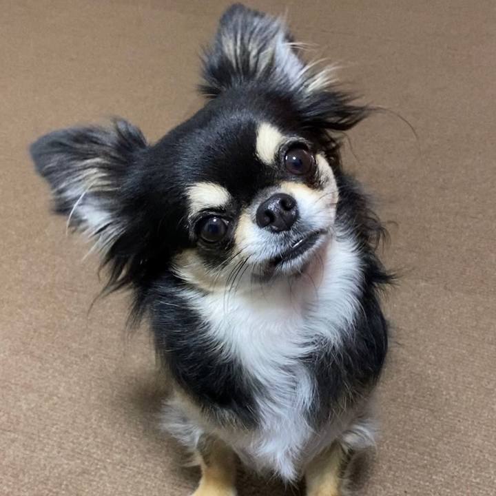 E5d5f600 865a 48ff a886 056800f7624c 1607804276614