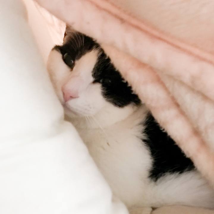 E5d600a7 7a3d 4df7 9d3f 3233b1ba9453 1523928183926