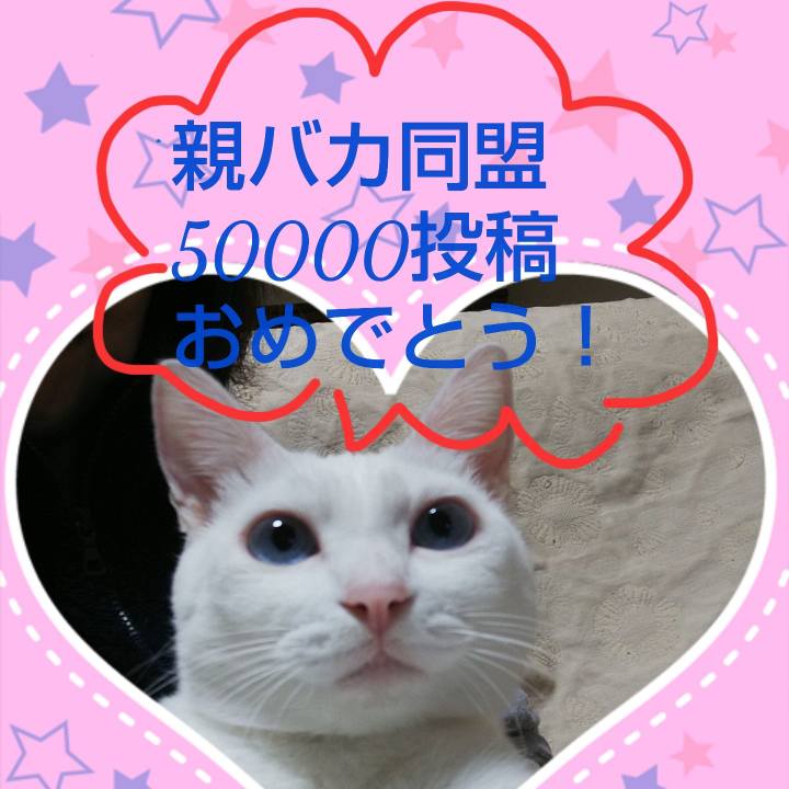 E5d61d61 c367 45b8 98e0 763fd7cb6d08 1572261040657