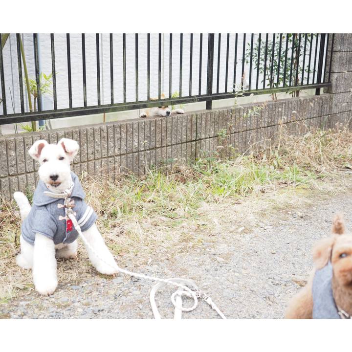 E5d67427 1b9c 49bd a673 9f6d34fb4171 1580819273472