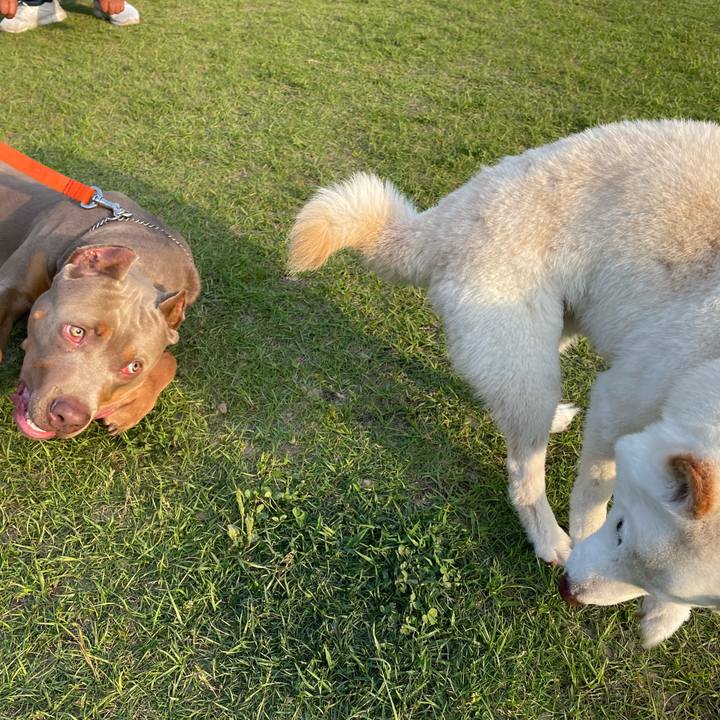 E5d6aa96 0bd0 4902 9817 50dea182b626 1665235942018