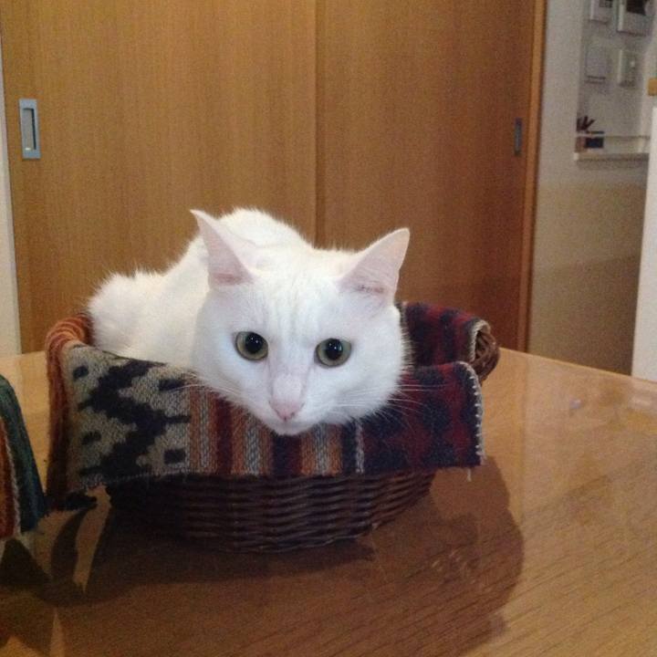 E5d6c84b b55f 4c63 9bcf b0692fa8b6fb 1630532149446