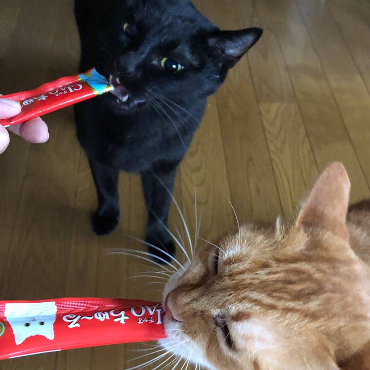 E5d6ce29 7694 418a baf7 a235e302ce7a 1696632654155