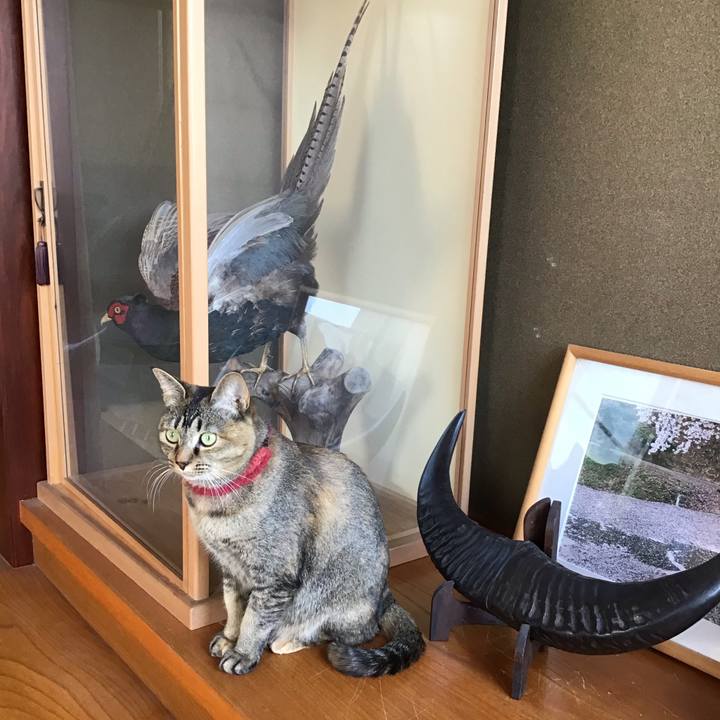 E5d6d0ee edfb 435c b354 380f2dd035b8 1612490219671