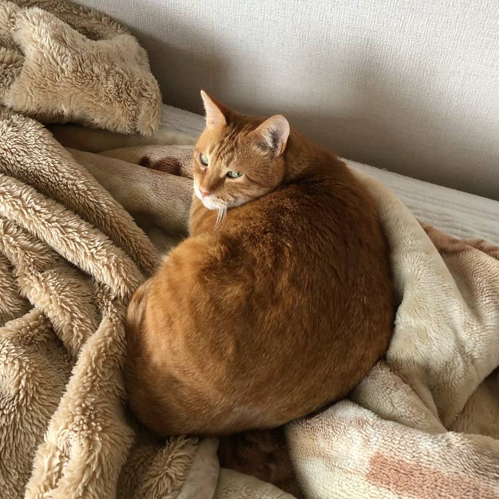 E5d7174a cda2 4364 8730 988137199acc 1623710987149