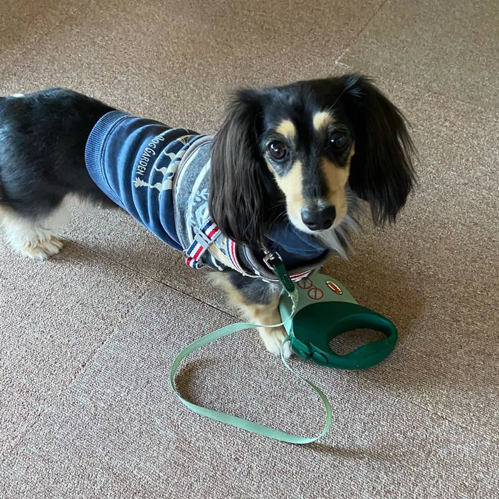 E5d7349f 332a 4d22 aca7 41d80586b759 1737529065609