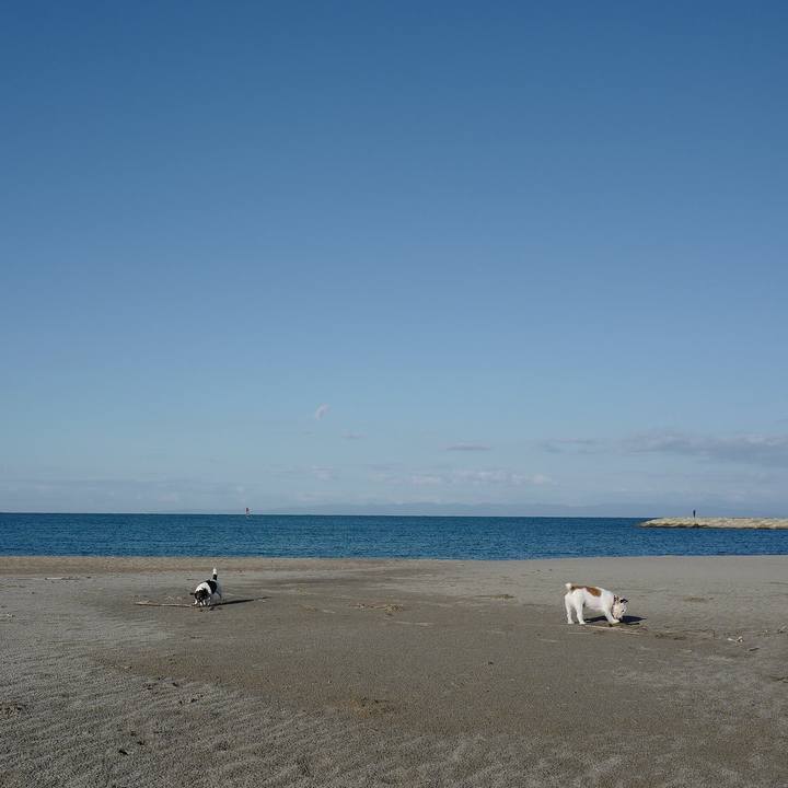 E5d797c6 0c28 41b2 8303 07f6fa376133 1540099690157