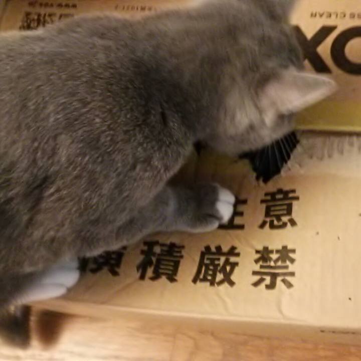 E5d7a804 eb80 4521 9c39 629038301b6d 1537769979001