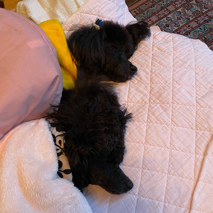 E5d7ae05 419e 4e56 be9e 3bb67d948e6c 1613256413234