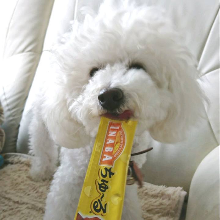 E5d7d52d 8b30 4a1d 83f2 eff228980ea3 1520303740117