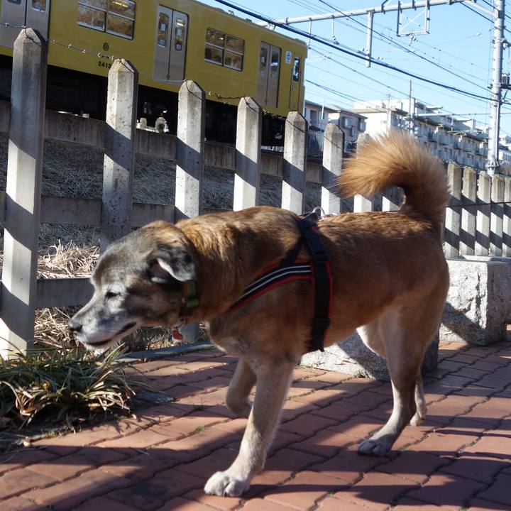 E5d7f33b e00f 4d68 9c58 5354bbc907df 1629332048881