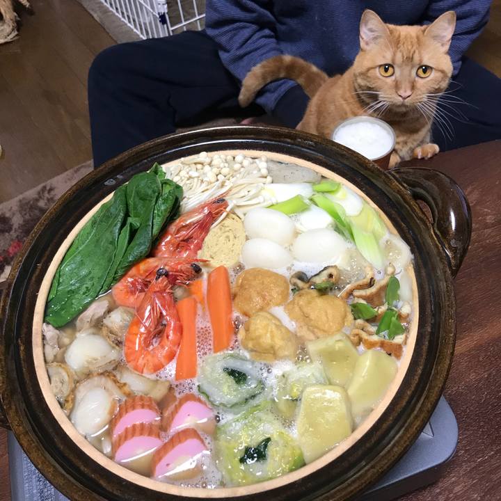 E5d802fd 01a4 423d a8a0 48545a91679f 1543143834528