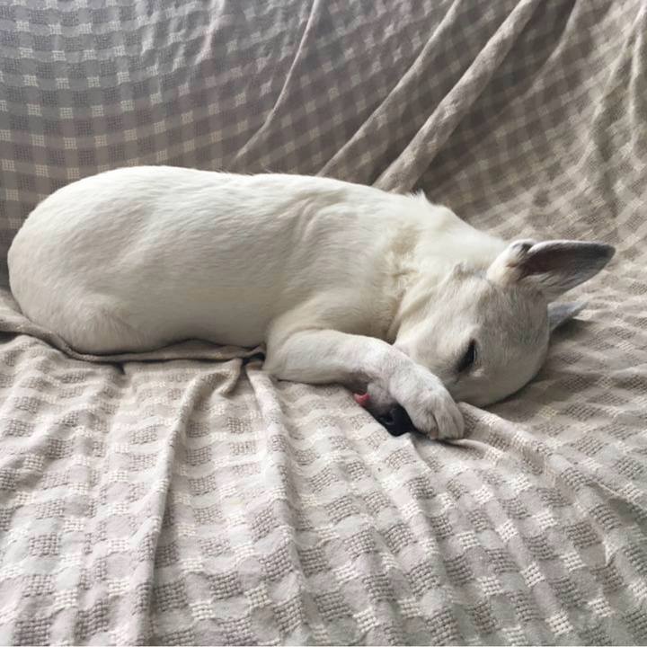 E5d80549 e0d9 40dc b7ca 16910abb5fde 1772838013279