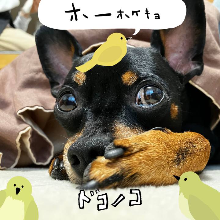 E5d80eb4 ec26 4151 82ec f2f284ddc372 1711026945347