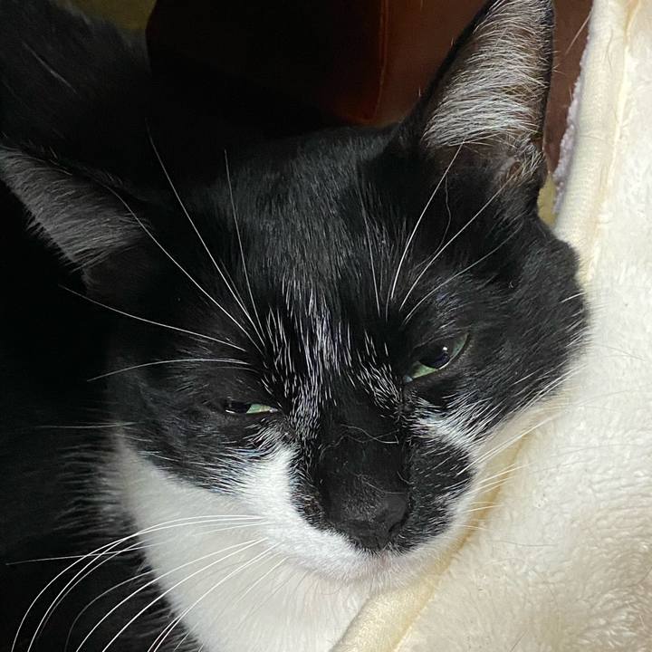 E5d86b60 def9 4f92 85ab 362caea3027c 1610080935159