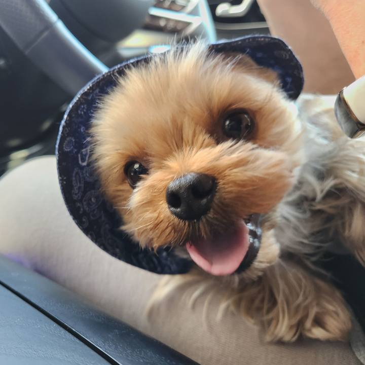 E5d86ba0 e43b 46b1 abb8 d8e3c1679b54 1744246825153