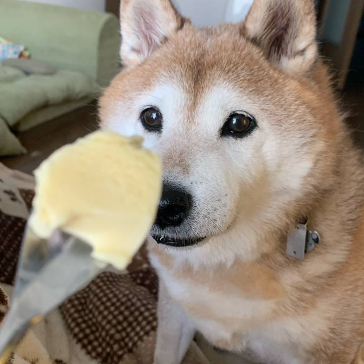 E5d89116 3318 4109 a551 4fb683b662d7 1582294662575